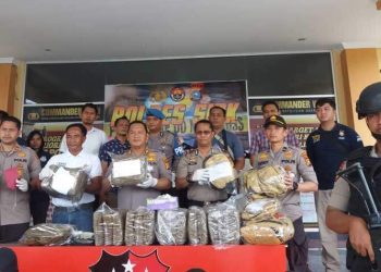 29 Kg Ganja Kering Dengan Tiga Tersangka Diamankan Polres Siak
