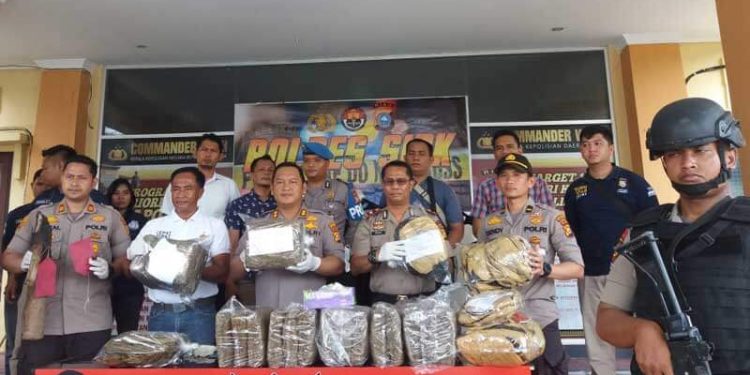 29 Kg Ganja Kering Dengan Tiga Tersangka Diamankan Polres Siak
