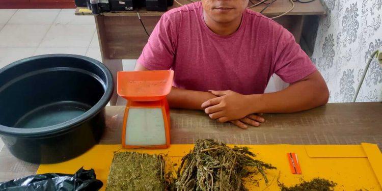 Pengedar Narkotika sejenis Ganja Di tangkap di Kecamatan Sei.apit