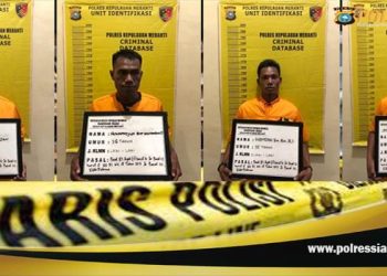 Illegal-Logging-Diperairan-Merbau-KabMeranti