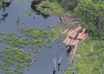 Issue Deforestasi dan Kerusakan Lingkungan Hidup