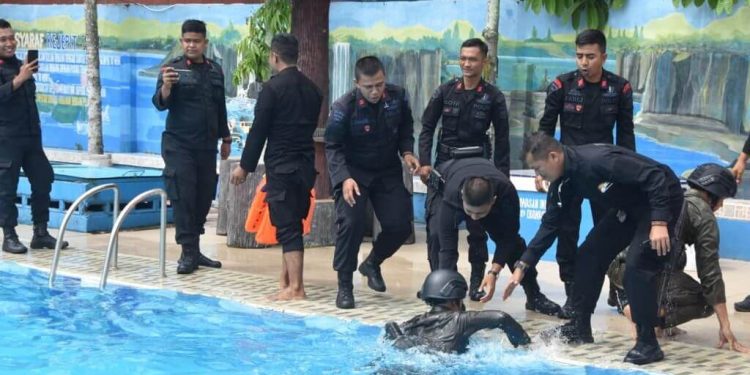 Berdayakan Kolam UMKM, Bentuk Kepedulian Sat Brimob Untuk Bantu Masyarakat