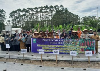 Kapolsek Tualang Galakkan Penanaman Cabai