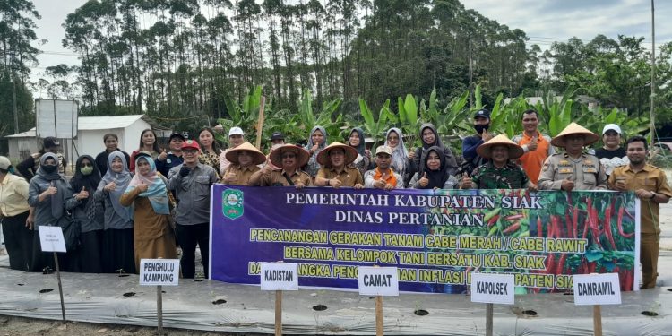 Kapolsek Tualang Galakkan Penanaman Cabai