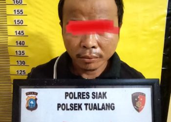 Tim Opsnal Polsek Tualang kembali amankan Pelaku Persetubuhan anak di bawah umur di wilayah hukum Polsek Tualang, Minggu (21/5/2023).