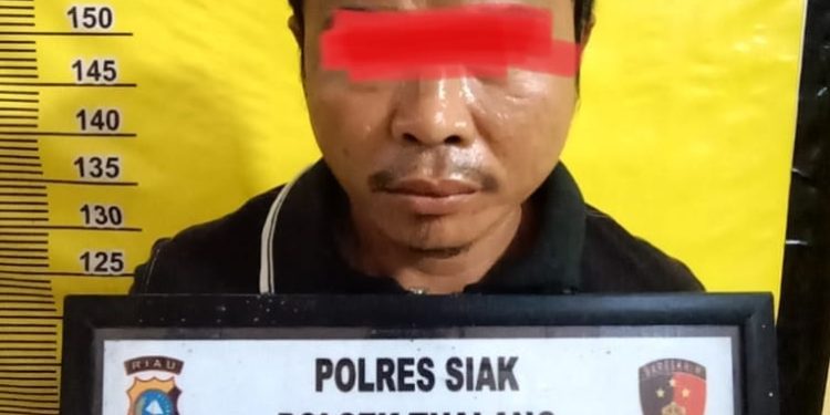 Tim Opsnal Polsek Tualang kembali amankan Pelaku Persetubuhan anak di bawah umur di wilayah hukum Polsek Tualang, Minggu (21/5/2023).