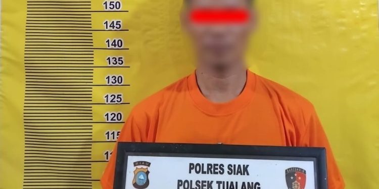Tim Opsnal Polsek Tualang Dibackup Bhabinkamtibmas Kelurahan Amankan Pelaku Narkotika Jenis Sabu-Sabu