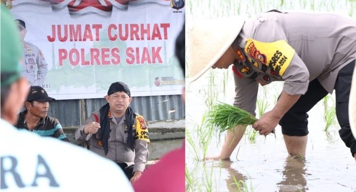 Kapolres Siak Turun Ke Sawah Sambangi Petani Sampaikan Pesan Pemilu Damai
