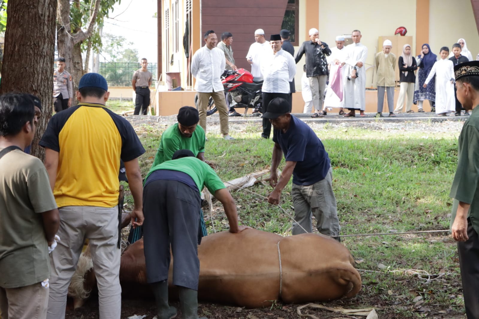 Polres Siak Gelar Sholat Idul Adha dan Potong 7 Ekor Hewan Kurban