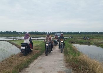 Lewati Persawahan Polsek Sabakauh Sambangi Warga Sampaikan Pesan Pemilu Damai