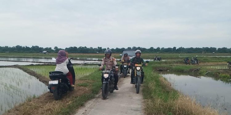 Lewati Persawahan Polsek Sabakauh Sambangi Warga Sampaikan Pesan Pemilu Damai