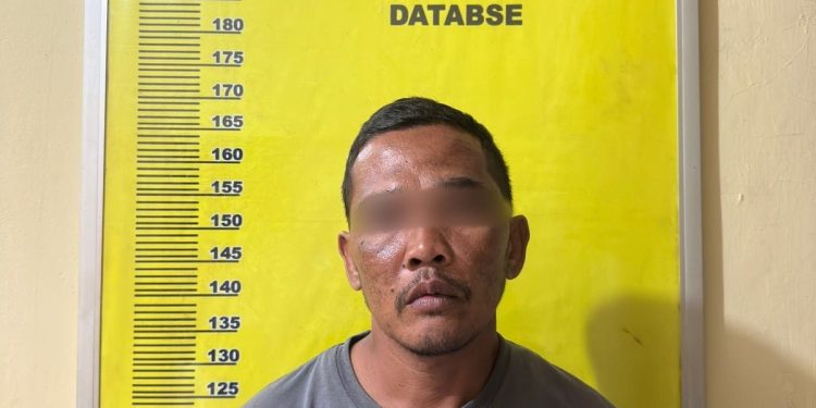 Dugaan Pencurian Ringan Di Kebun Palapa PT. Ivo Mas, 16 Janjang Kelapa Sawit Raib