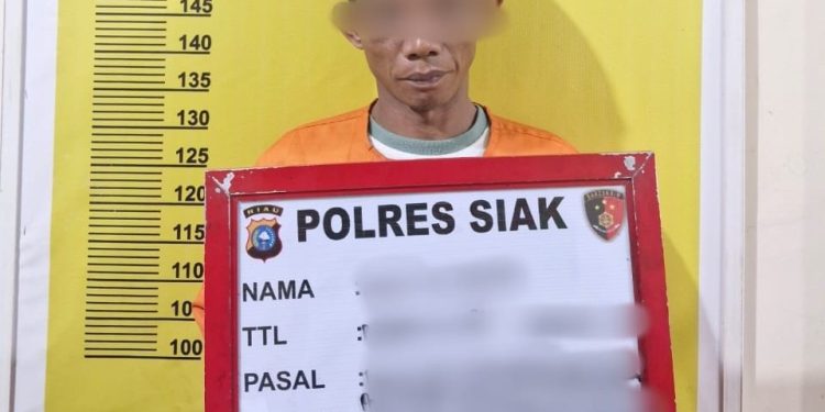 Polres Siak Ungkap Kasus Narkotika Jenis Shabu, Amankan Dua Tersangka Dengan 2,43 Gram Sabu Di Desa Pinang Sebatang Kecamatan Tualang