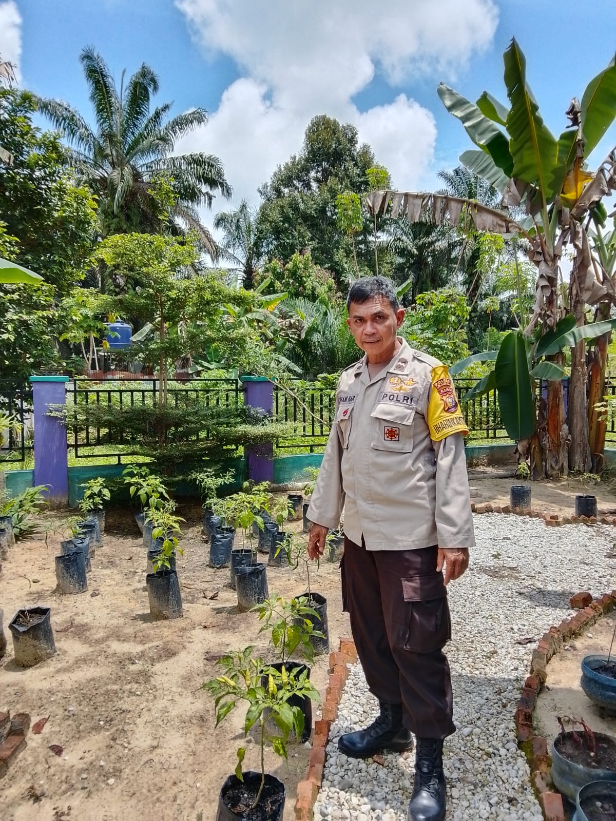 Manfaatkan Halaman Belakang Kantor Desa Maredan Barat. Bhabinkamtibmas dan Kepala Desa Tanam Cabai Dalam Rangka Ketahanan Pangan