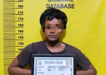 Kurang Dari 2×24 Jam Polsek Koto Gasib Berhasil Tangkap Pelaku Penggelapan Motor Dan Residivis Curanmor