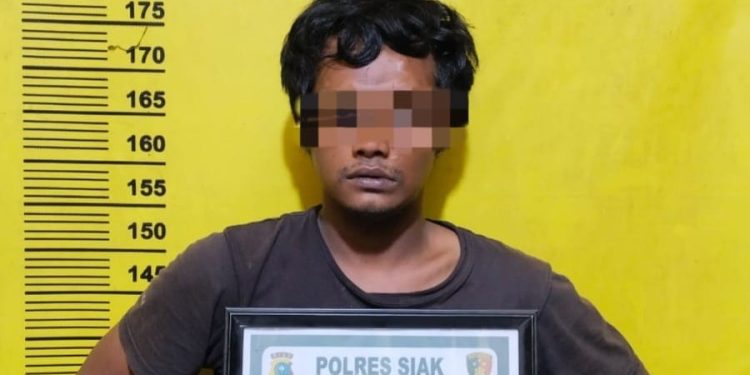 Kurang Dari 2×24 Jam Polsek Koto Gasib Berhasil Tangkap Pelaku Penggelapan Motor Dan Residivis Curanmor