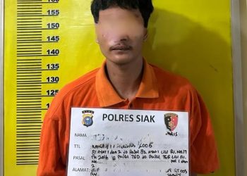 Pelaku Pencabulan Anak Di Bawah Umur Diamankan Tim Opsnal Polsek Kandis