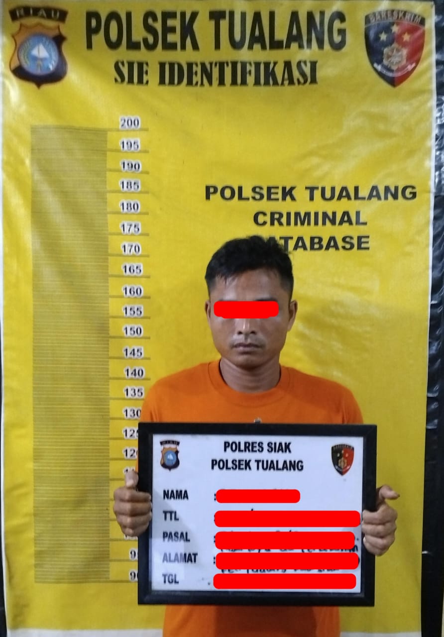 Pelaku Pencurian Berondolan Buah Kelapa Sawit Di Amankan