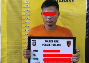 Pelaku Pencurian Berondolan Buah Kelapa Sawit Di Amankan
