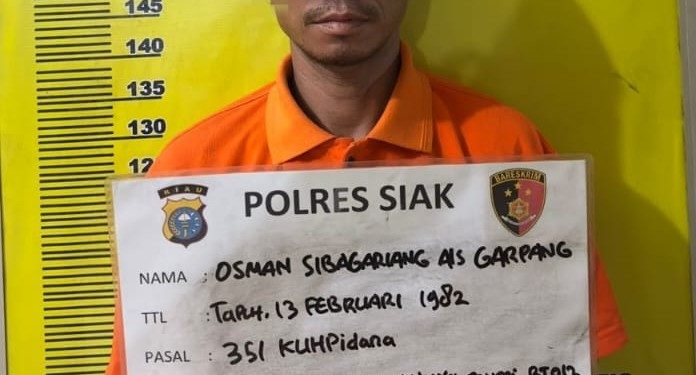 Kurang Dari 24 Jam, Pelaku Penikaman Dengan Pecahan Kaca Berhasil Ditangkap Di Kecamatan Tapung Hilir  Kampar