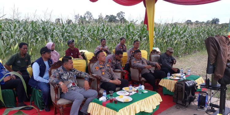 Presiden Prabowo Hadiri Zoom Meeting Panen Raya Jagung Serentak Kuartal II, Polres Siak Aktif Dukung Swasembada Pangan 2025