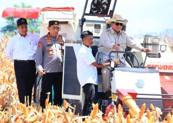 Presiden Prabowo Senang Panen Raya Jagung Inisiasi Polri Berhasil