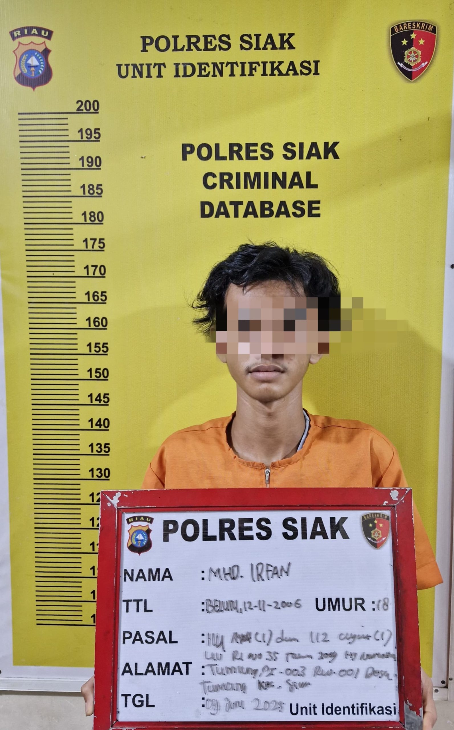 DPO Narkoba MHD Irfan Alias Benox Dibekuk Tim Satresnarkoba Polres Siak, Barang Bukti Shabu 1,14 Gram Diamankan