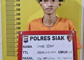 DPO Narkoba MHD Irfan Alias Benox Dibekuk Tim Satresnarkoba Polres Siak, Barang Bukti Shabu 1,14 Gram Diamankan