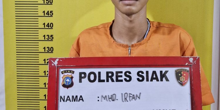 DPO Narkoba MHD Irfan Alias Benox Dibekuk Tim Satresnarkoba Polres Siak, Barang Bukti Shabu 1,14 Gram Diamankan