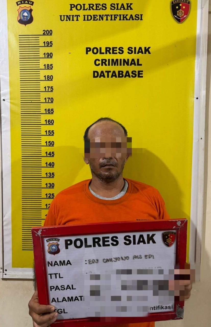 Bandar Shabu Dibekuk Di Tualang, SatResnarkoba Polres Siak Ungkap 6 Paket Siap Edar