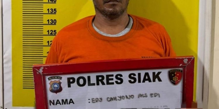 Bandar Shabu Dibekuk Di Tualang, SatResnarkoba Polres Siak Ungkap 6 Paket Siap Edar