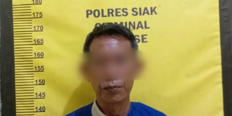 Dugaan Penganiayaan Ringan Di Lubuk Dalam, Seorang Ibu Rumah Tangga Laporkan Kejadian Ke Polisi