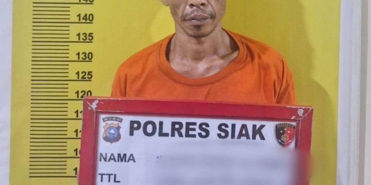 Sat Narkoba Polres Siak Ungkap Kasus Narkotika, Bandar Shabu Ditangkap D Perkebunan Sawit