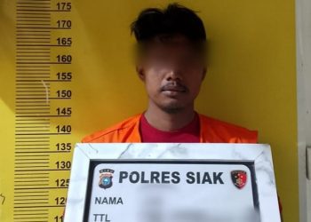 Seorang Pria Diamankan Polsek Sungai Apit Diduga Curi 200 Tual Sagu Di Kampung Penyengat