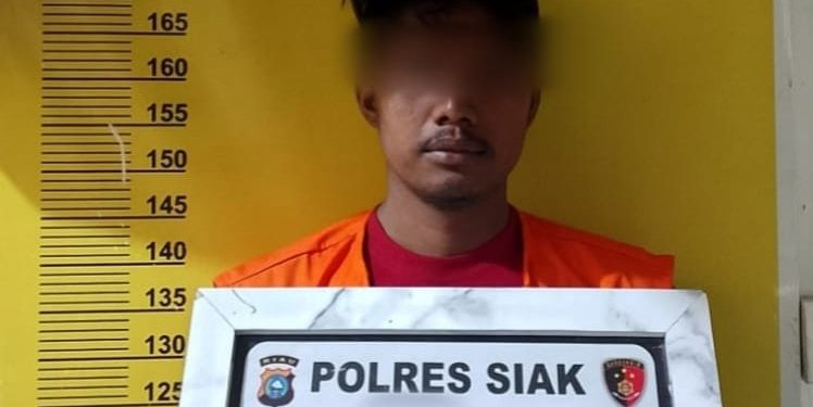Seorang Pria Diamankan Polsek Sungai Apit Diduga Curi 200 Tual Sagu Di Kampung Penyengat