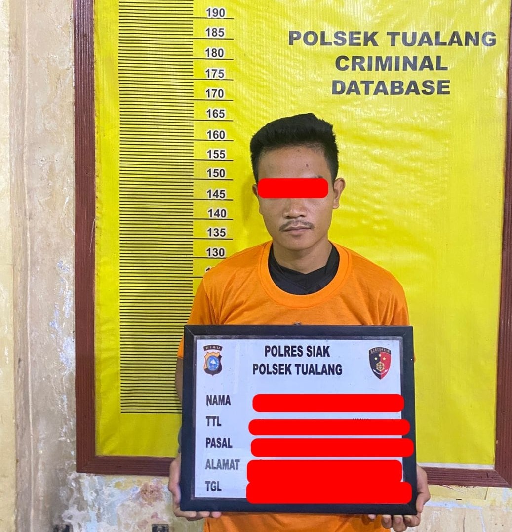 Polsek Tualang Tangkap Pencuri 37 Tandan Buah Sawit Milik Perusahaan Di Siak