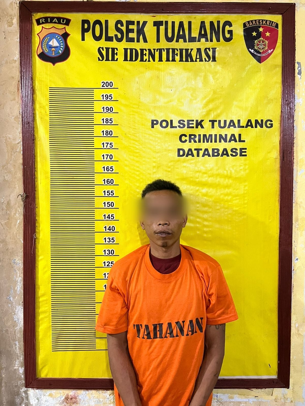Polsek Tualang Ungkap Kasus Pencurian Sawit di Areal PT. SIR. 2 Pelaku DPO
