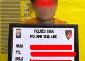 Polsek Tualang Amankan Pencuri 27 Tandan Sawit Milik PT SIR, Dua Pelaku Lain DPO