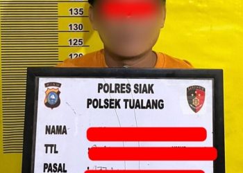 Polsek Tualang Amankan Pencuri 27 Tandan Sawit Milik PT SIR, Dua Pelaku Lain DPO
