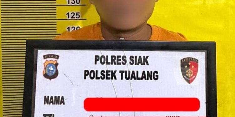 Polsek Tualang Amankan Pencuri 27 Tandan Sawit Milik PT SIR, Dua Pelaku Lain DPO