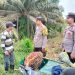 Cegah Karhutla, Polsek Tualang Intensifkan Patroli di Wilayah Rawan Kebakaran Dan Edukasi Warga Cegah Pembakaran Lahan