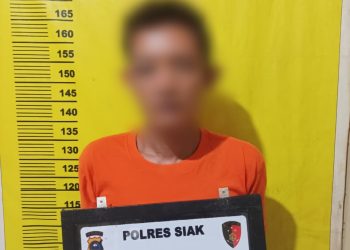 Polsek Minas Tangkap Pemilik Ganja Kering 3,56 Gram, Kapolres Siak Tegaskan Komitmen Berantas Narkoba