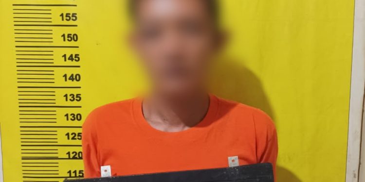 Polsek Minas Tangkap Pemilik Ganja Kering 3,56 Gram, Kapolres Siak Tegaskan Komitmen Berantas Narkoba