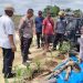 Perkuat Ketahanan Pangan, Polres Siak,Pemkab dan PT RAPP Tinjau Lahan Jagung Tumpang Sari di Sungai Mandau