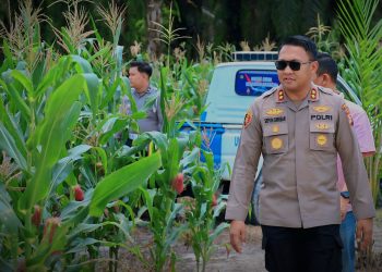 Ketahanan Pangan, Kapolres Siak AKBP Sepuh Ade Irsyam Siregar Instruksikan Polsek Jajaran Maksimalkan Pemanfaatan Lahan Kosong