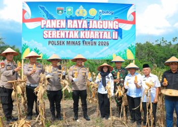 Dukung Swasembada Pangan, Polres Siak Gelar Panen Raya Jagung di Kampung Rantau Bertuah, Kapolres Apresiasi Kolaborasi Semua Pihak