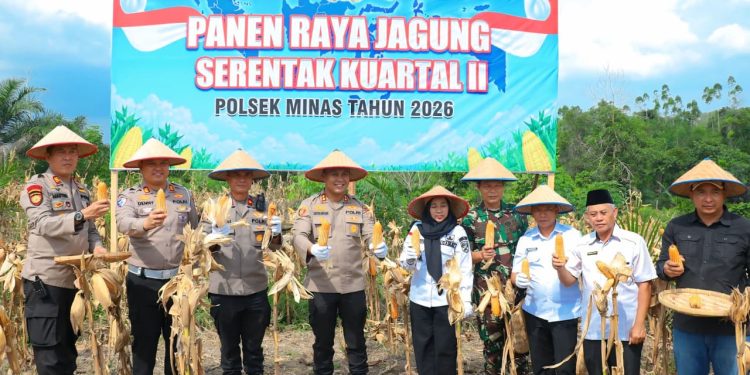 Dukung Swasembada Pangan, Polres Siak Gelar Panen Raya Jagung di Kampung Rantau Bertuah, Kapolres Apresiasi Kolaborasi Semua Pihak