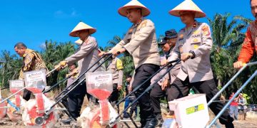 DUKUNG KETAHANAN PANGAN MENUJU SWASEMBADA JAGUNG, POLDA RIAU MELALUI POLRES SIAK DAN PEMKAB SIAK GELAR PENANAMAN 12 HEKTAR JAGUNG PIPIL
